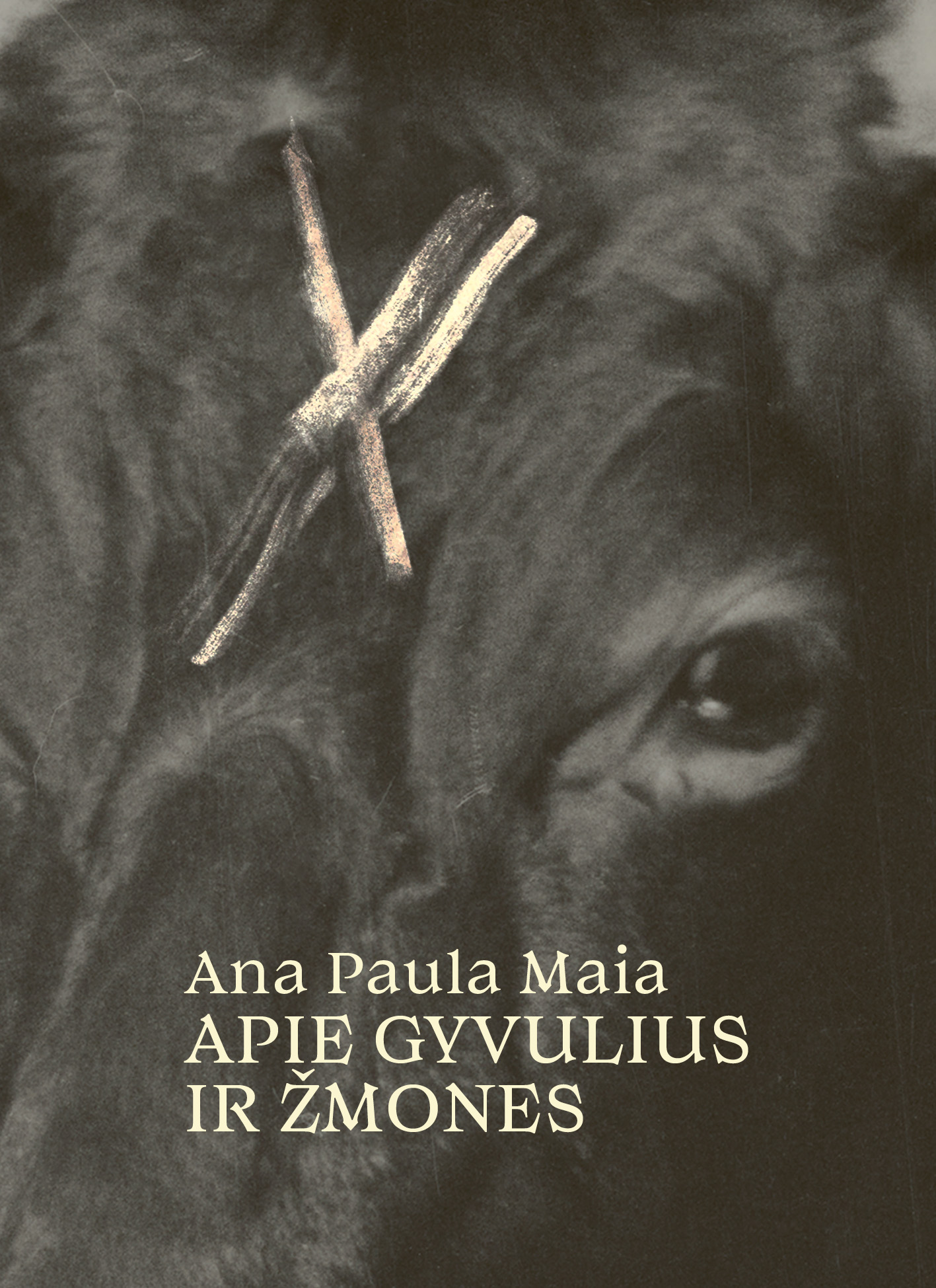 Viršelis tamsus, beveik monochrominis, vyrauja pilkai rusvas atspalvis. Fone pavaizduotas stambus gyvulio, tikėtina galvijo, galvos fragmentas. Dešinėje matyti kairė akis ir dalis kaktos, padengtos trumpu, šiurkščiu kailiu. Kaktos centre baltai gelsvu tonu nupieštas didelis „X“ ženklas, nubrėžtas dažais ar kreida, šiek tiek aptrupėjęs. Dešinė brūkšnio linija dviguba, tarsi nubrėžta du kartus, o kairė vienguba. Apatinėje viršelio dalyje dviem eilutėmis pateikti užrašai: viršuje „Ana Paula Maia“, apačioje „Apie gyvulius ir žmones“. Tekstas šviesiai gelsvos spalvos, klasikinio serifinio šrifto, aiškiai kontrastuojantis su tamsiu fonu.